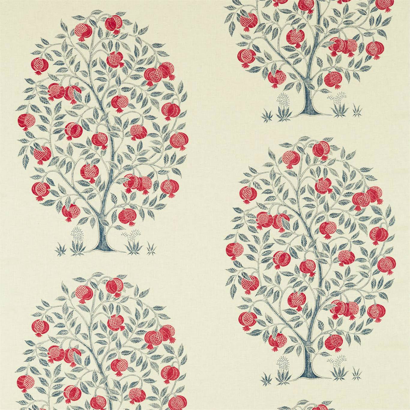 Anaar Tree Blueberry